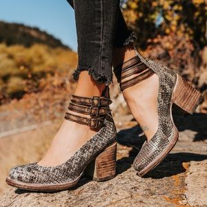 Freebird by Steven Randi